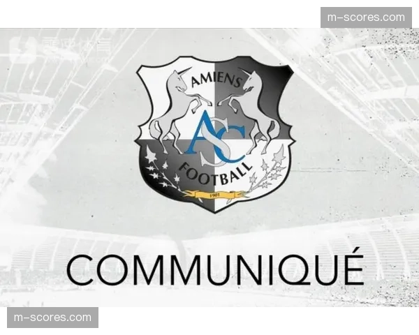 法甲联盟与流媒体平台签署新一轮转播协议，金额创历史新高